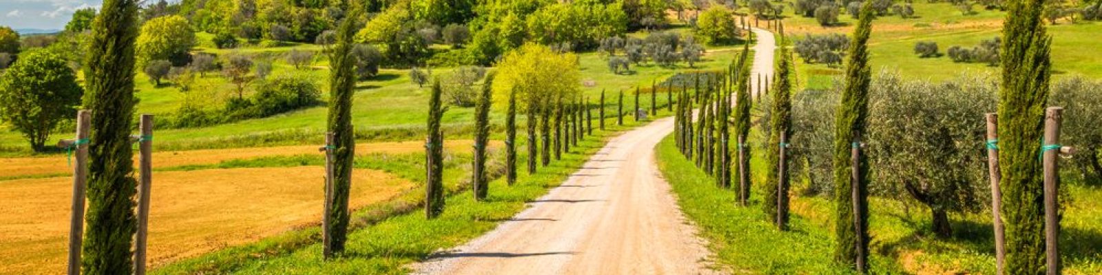 cypress-lined road and hilltop village