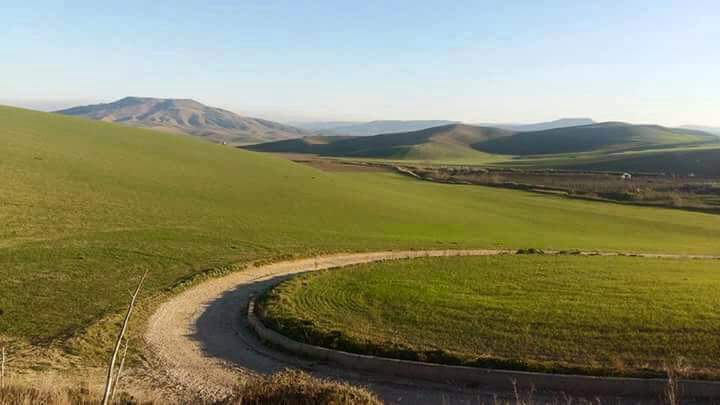 PAESAGGIO DI IRSINA