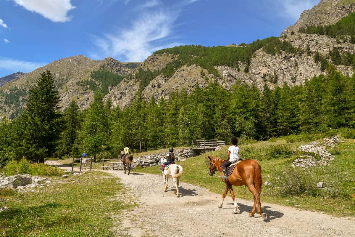 Parco Nazionale del Gran Paradiso