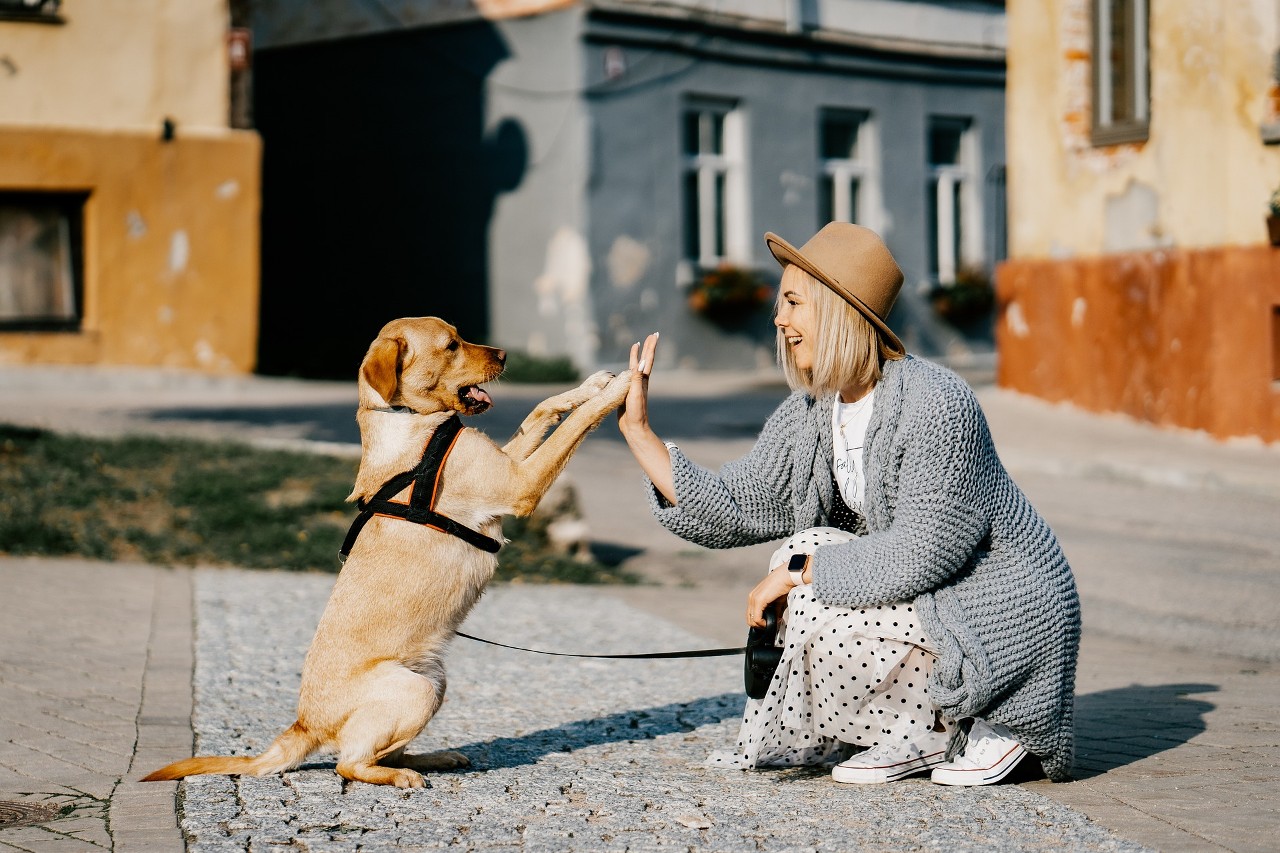 a spasso con il cucciolo